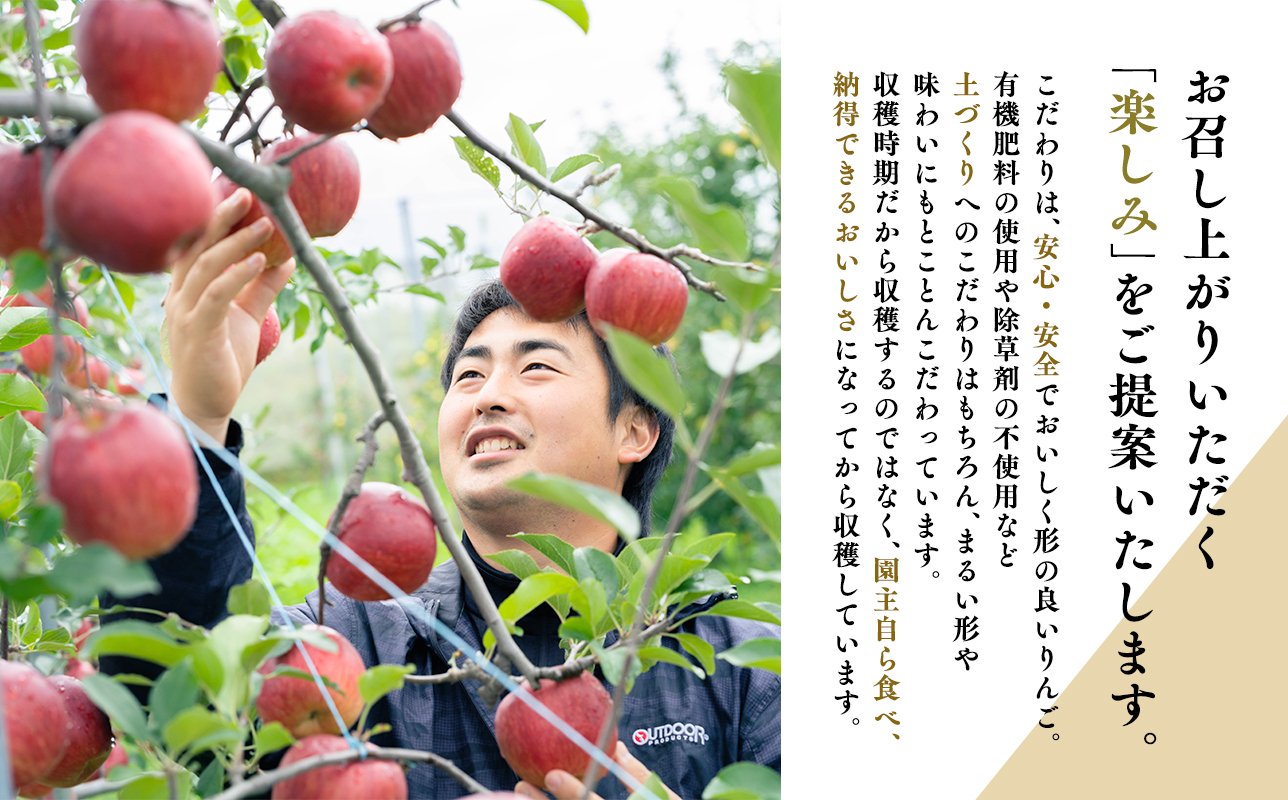 【10~12月発送】 贈答用トキ約3kg（糖度証明書付き）【青森県 平川市 那由多のりんご園】