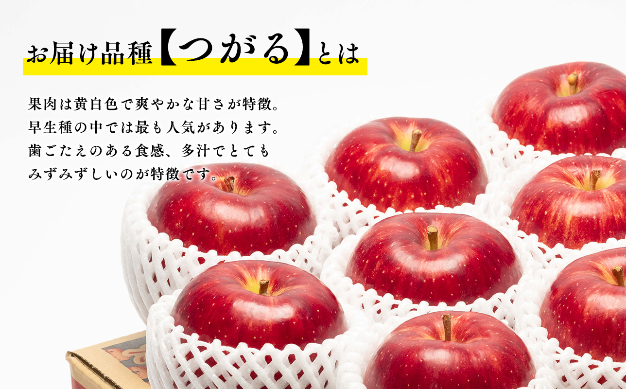 【9月発送】 親子三代最高位のつがる約5kg【全国ふじコンテスト最高賞受賞農園・平川市広船産りんご】