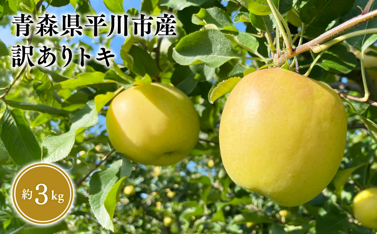 ≪2026年9月中旬頃より発送≫青森県産 訳あり トキ 約3kg【青森県 平川市 なるみ農園】家庭用 訳アリ 青森 青森県産 平川 りんご リンゴ 林檎 くだもの 果物 フルーツ