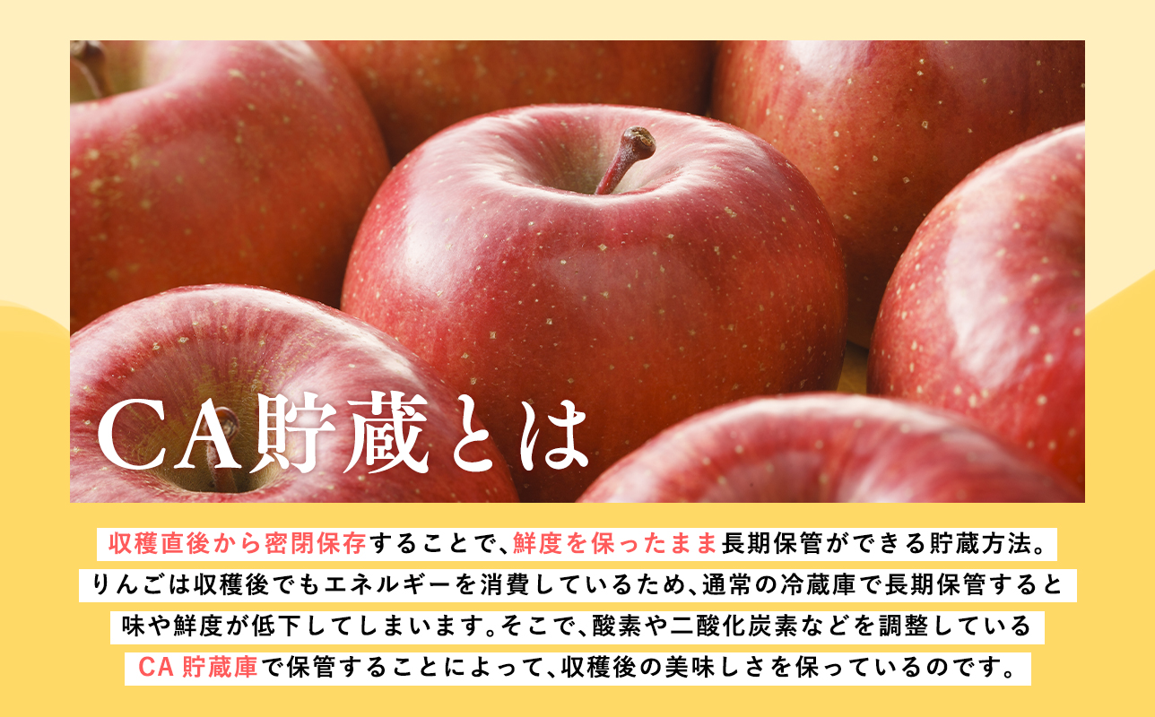 4月CA貯蔵 家庭用 葉とらずサンふじ 約10kg 訳あり 家庭用【青森県 平川市 森山商店 】