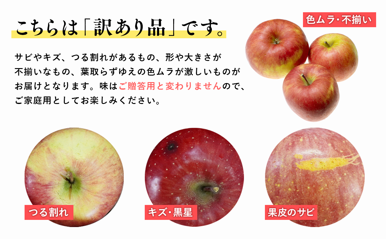 4月CA貯蔵 家庭用 葉とらずサンふじ 約10kg 訳あり 家庭用【青森県 平川市 森山商店 】
