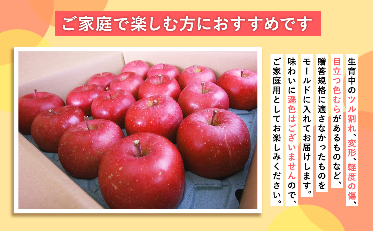 2025年産品種お任せ　【訳あり】家庭用　旬のりんご詰め合わせ3ｋｇ