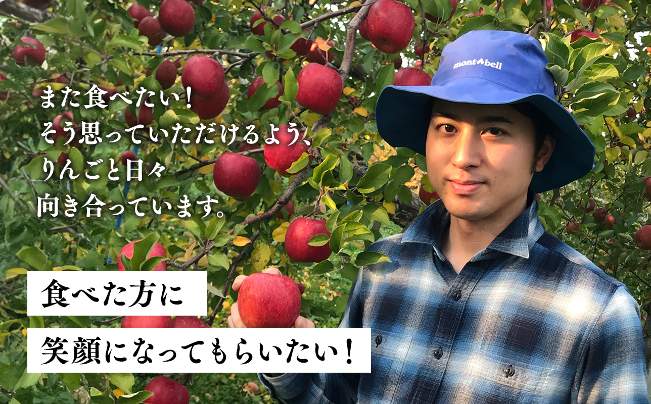 ≪2026年10月下旬頃より発送≫青森県産 訳あり ぐんま名月 約3kg【青森県 平川市 なるみ農園】家庭用 訳アリ 青森 青森県産 平川 りんご リンゴ 林檎 くだもの 果物 フルーツ 