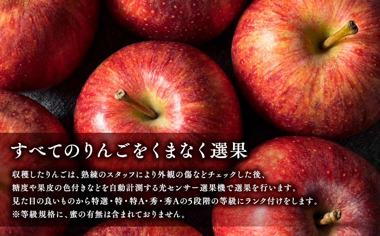 幎å
æé«çŽãç¹éžã ç³åºŠéžå¥ãµã³ãµã çŽ5kg ãJA接軜ã¿ããã»å¹³å·åžç£ã»é森ãããã»12æã