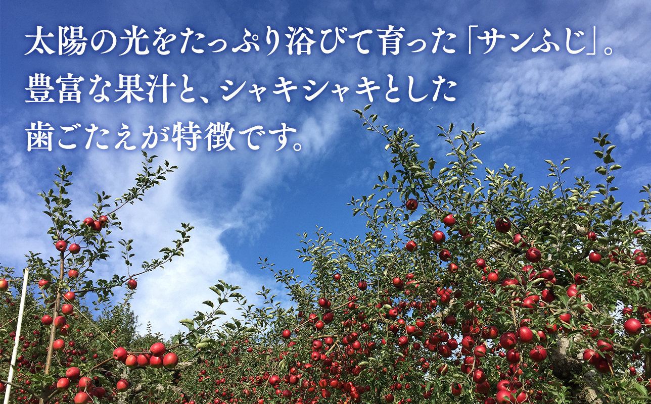 ≪令和8年産先行受付≫贈答用 サンふじ/ぐんま名月 詰め合わせ約5㎏【青森県 平川市 山内ファーム】贈答 青森りんご りんご リンゴ 林檎 サンフジ ふじ 群馬名月 お取り寄せ 先行予約 果物 くだもの フルーツ 