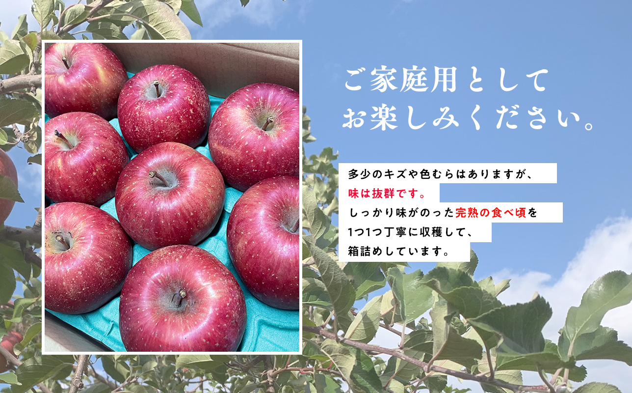 ≪2026年12月中旬頃より発送≫青森県産 訳あり 葉取らずサンふじ 約3kg【青森県 平川市 なるみ農園】家庭用 訳アリ 青森 青森県産 平川 りんご リンゴ 林檎 くだもの 果物 フルーツ 