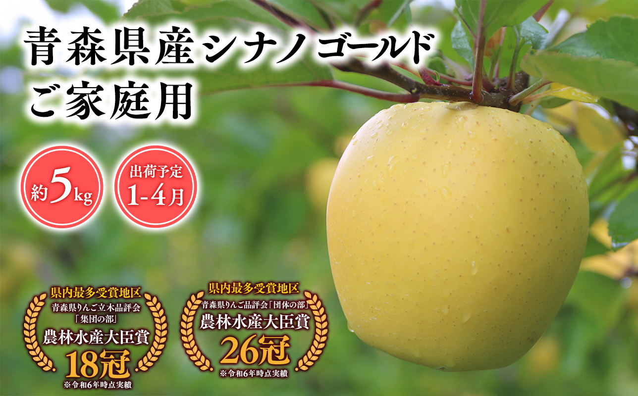 2025年産 １月〜４月発送　【訳あり】家庭用シナノゴールド5ｋｇ　【そと川りんご園・１月・２月・３月・４月・青森県産・平川市・りんご・シナノゴールド・5ｋｇ・訳あり・家庭用】