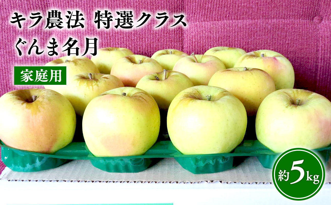 【2025年産 先行受付】11〜12月 家庭用 キラ農法  ぐんま名月約5kg 【青森りんご・平川市広船産・11月・12月】