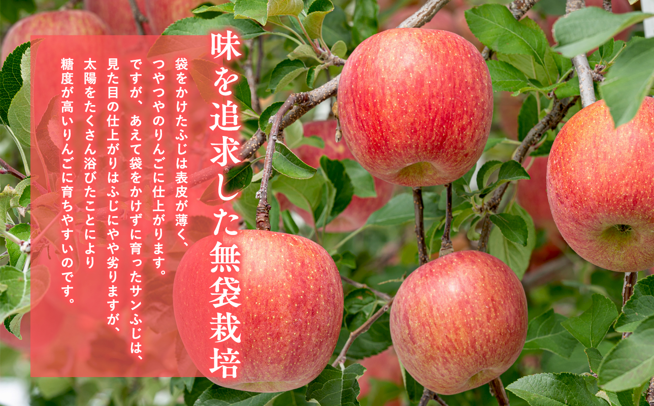 4æ CA貯èµãµã³ãµã çŽ5kgã鿣®ç å¹³å·åž 森山ååº ã