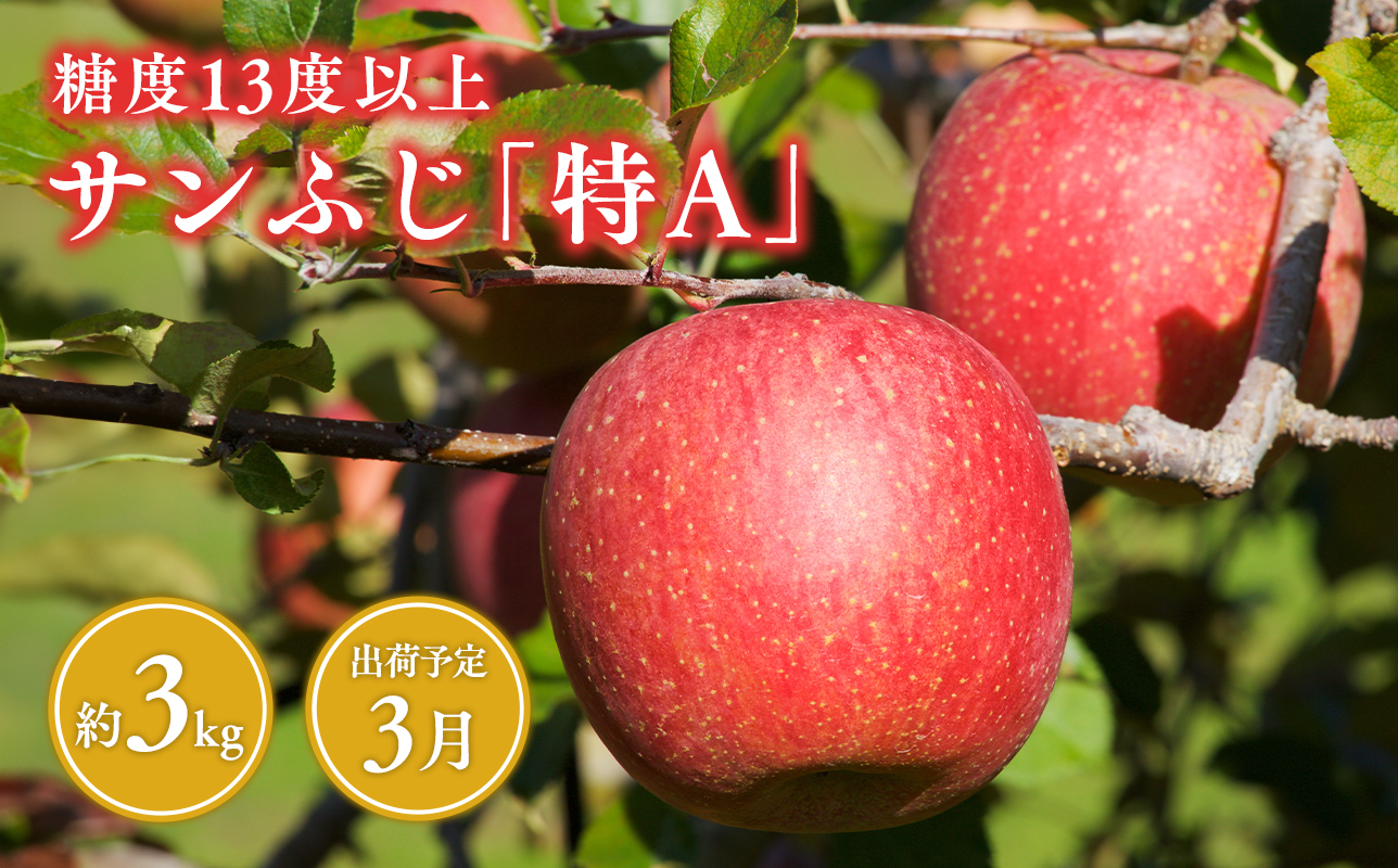 3月 サンふじ約3kg 糖度13度以上 【青森県 平川市 森山商店 】
