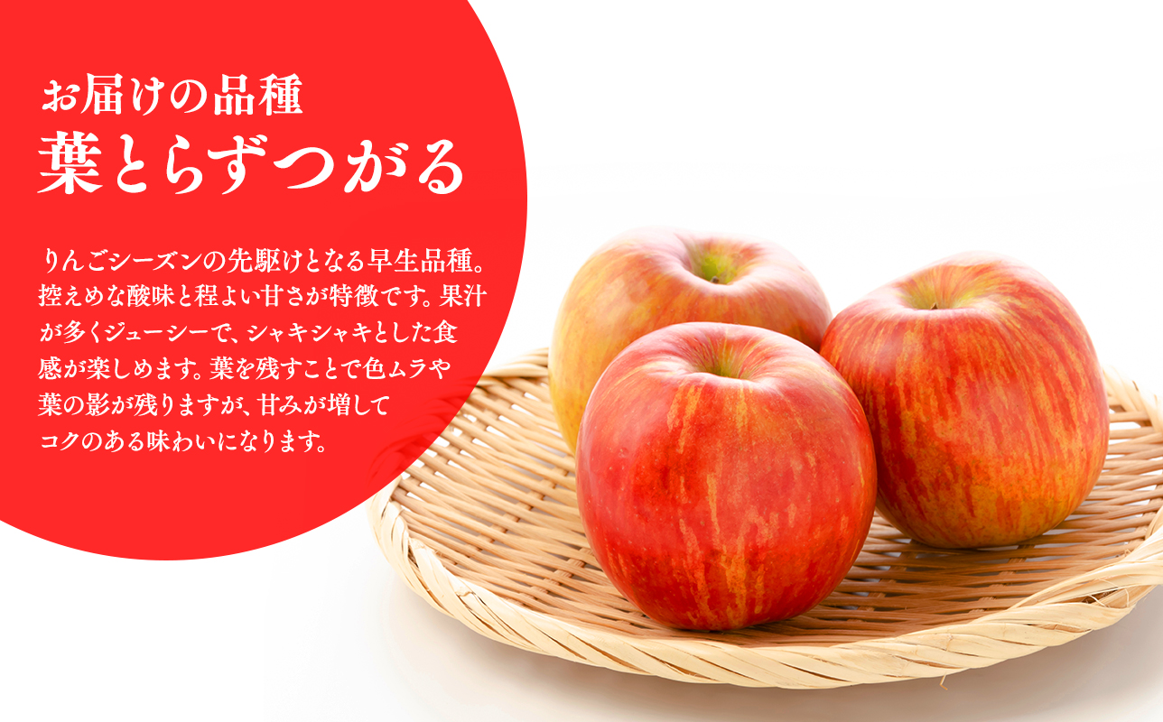 ≪2026年8月下旬頃より発送≫青森県産 訳あり つがる 約3kg【青森県 平川市 なるみ農園】家庭用 訳アリ 青森 青森県産 平川 りんご リンゴ 林檎 くだもの 果物 フルーツ 