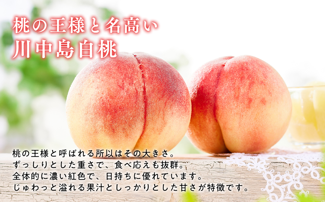 ≪8月下旬～9月中旬発送予定≫ 津軽の桃 川中島白桃 約3kg  秀品 