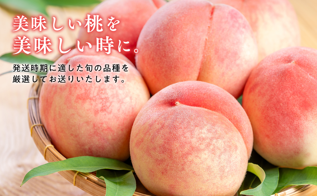 ≪8月中旬～8月下旬発送予定≫津軽の桃 旬の白桃 約5kg 秀品 