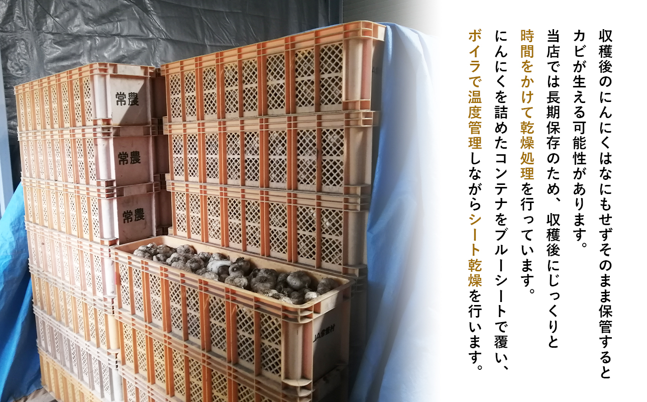 【平川市産にんにく】福地ホワイト六片種 約1kg