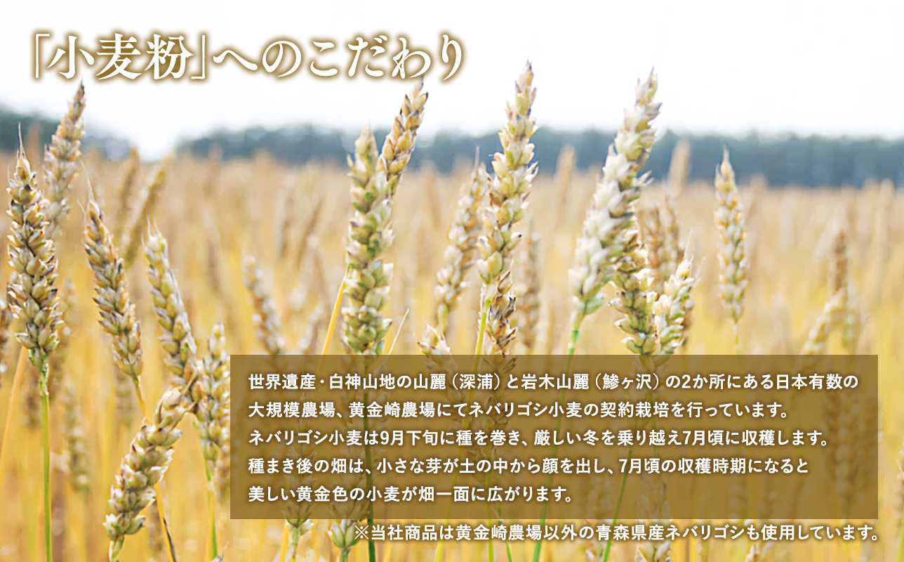 高砂食品 青森ネバリゴシ麺カリーうどん6食