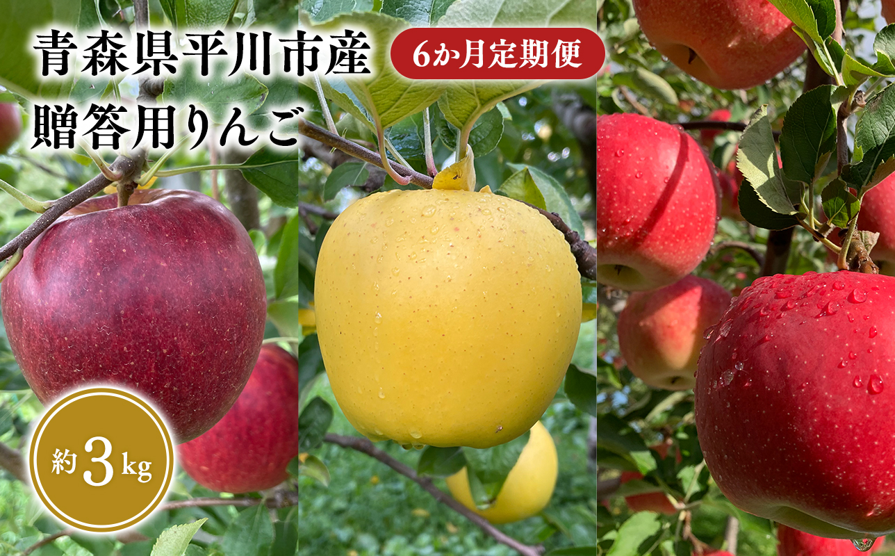 ≪2026年8月下旬頃より発送≫青森県産 贈答用りんご 6か月定期便 約3kg【青森県 平川市 なるみ農園】贈答 贈答規格 青森 青森県産 平川 りんご リンゴ 林檎 くだもの 果物 フルーツ