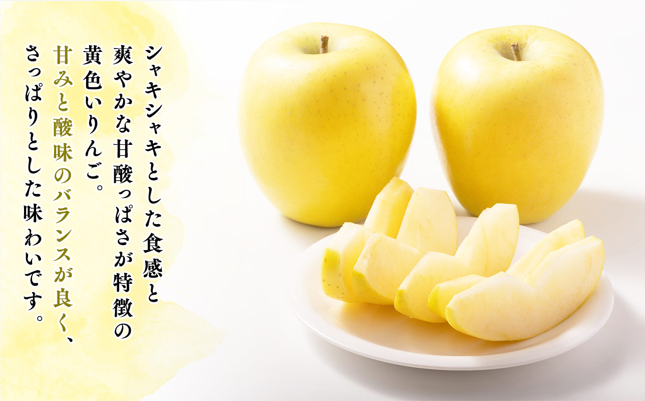 âªä»€å8幎ç£å
è¡åä»â«èŽççšã·ãããŽãŒã«ãçŽ3kgã鿣®ç å¹³å·åž å±±å
ãã¡ãŒã ãèŽç èŽçèŠæ Œ å¹³å·åžç£ 鿣®ããã ããã ãªã³ãŽ ææª ã·ãã ãŽãŒã«ã ãåãå¯ã å
è¡äºçŽ æç© ãã ãã® ãã«ãŒã