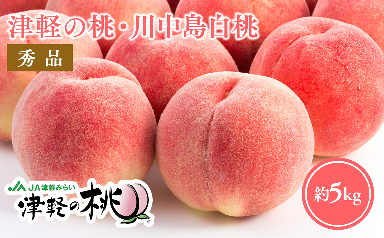 ≪8月下旬～9月中旬発送予定≫ 津軽の桃 川中島白桃 約5kg 秀品