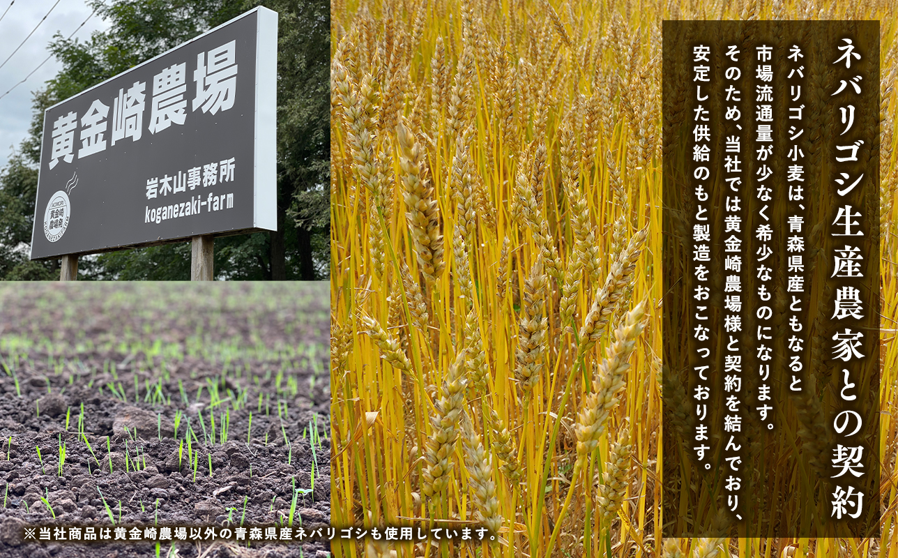 高砂食品 青森ネバリゴシ麺カリーうどん6食