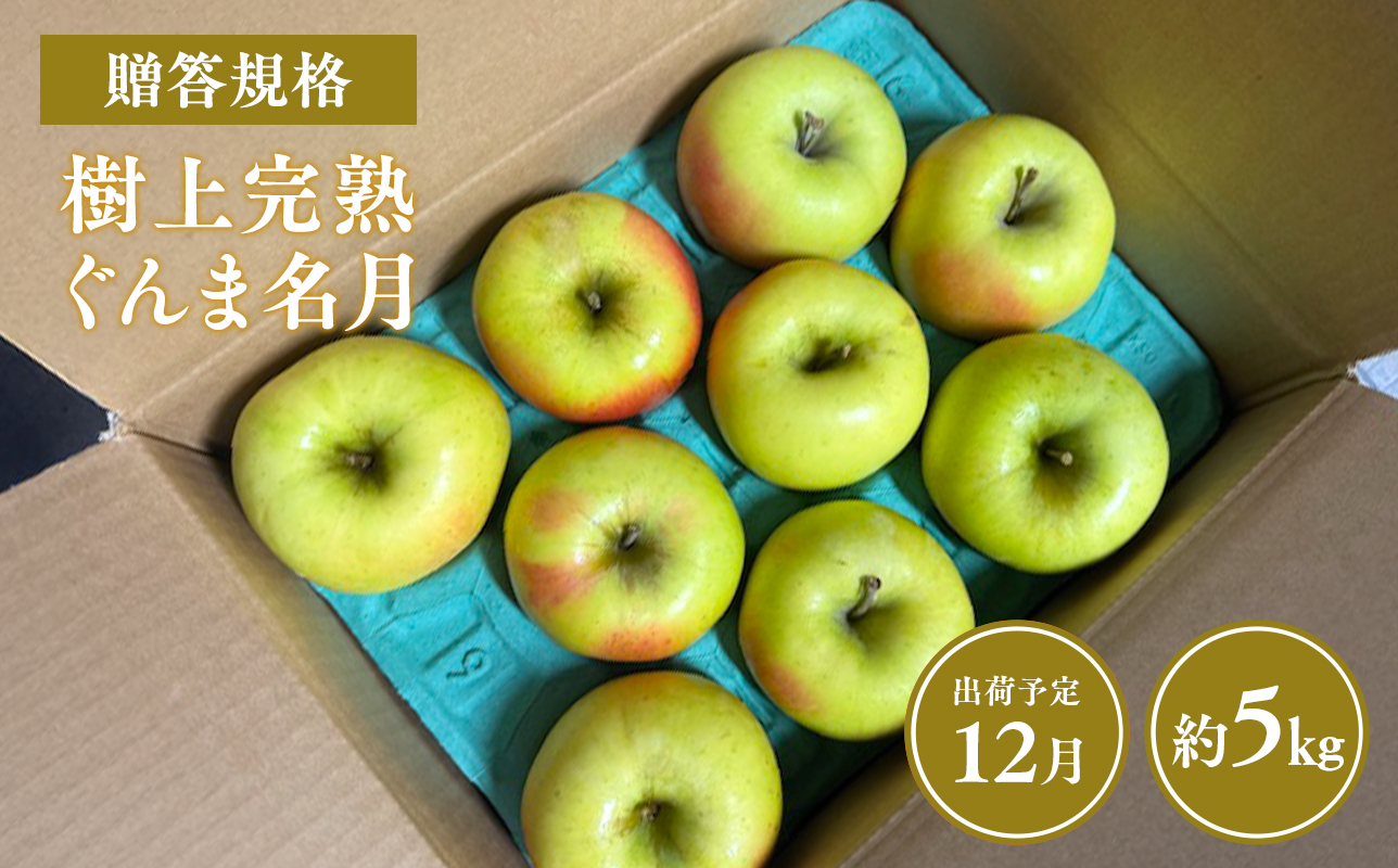 ≪令和8年産先行受付≫贈答用 樹上完熟ぐんま名月約5㎏【青森県 平川市 山内ファーム】贈答 贈答規格 平川市産 青森りんご りんご リンゴ 林檎 完熟 群馬名月 名月 お取り寄せ 先行予約 果物 くだもの フルーツ