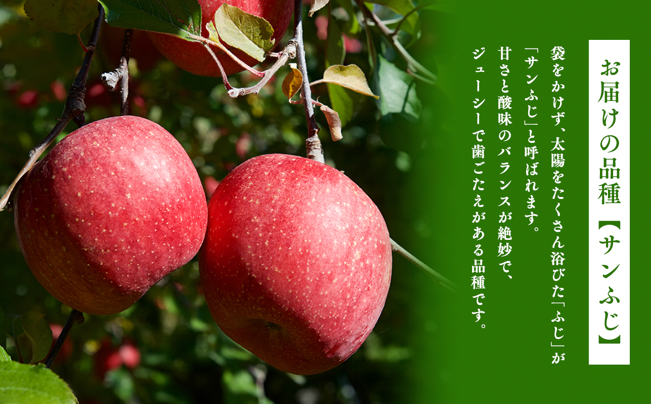 3月 葉取らずサンふじ 約10kg 訳あり 家庭用【青森県 平川市 森山商店 】