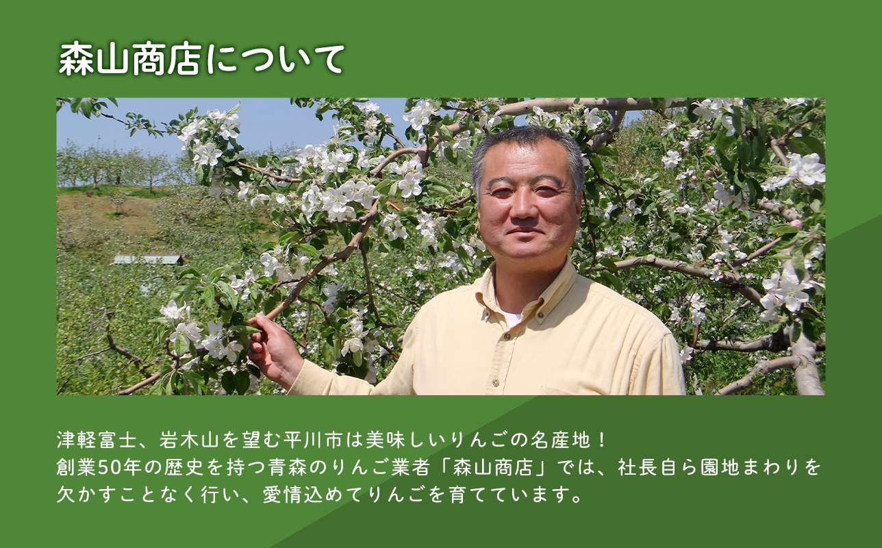 11月 サンふじ約3kg 糖度13度以上 【青森県 平川市 森山商店 】 