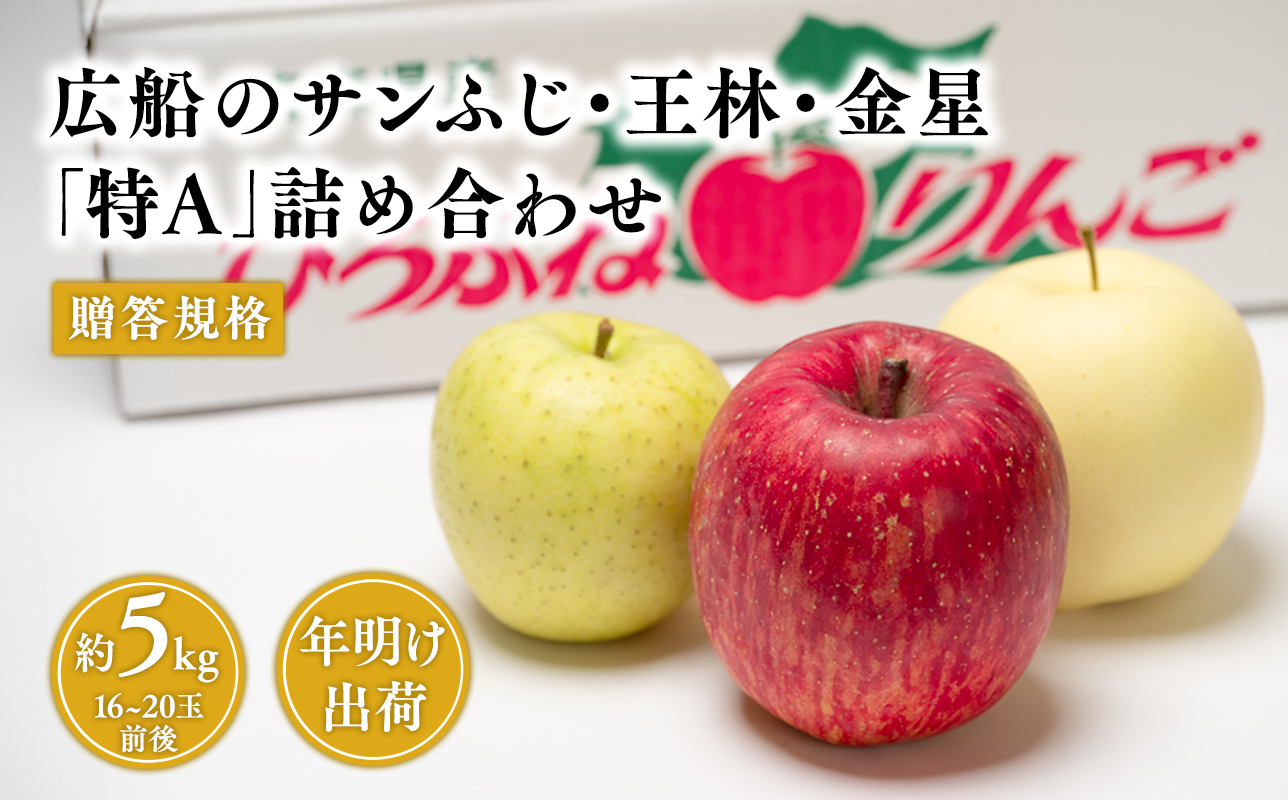年明け 贈答規格 広船のサンふじ　王林　金星約5kg詰合せ「特A」【広船アップルクラブ　平川市広船産　青森りんご　1月　2月】