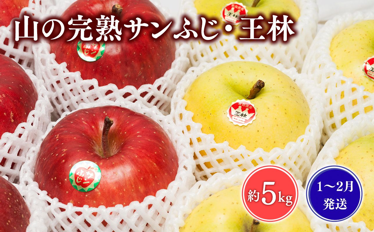 ≪1~2月発送≫山の完熟サンふじ・王林約5kg 【青森県 平川市 吹田りんご園】王林 おうりん サンふじ ふじ りんご リンゴ アップル 果物 くだもの フルーツ 平川市産 完熟りんご