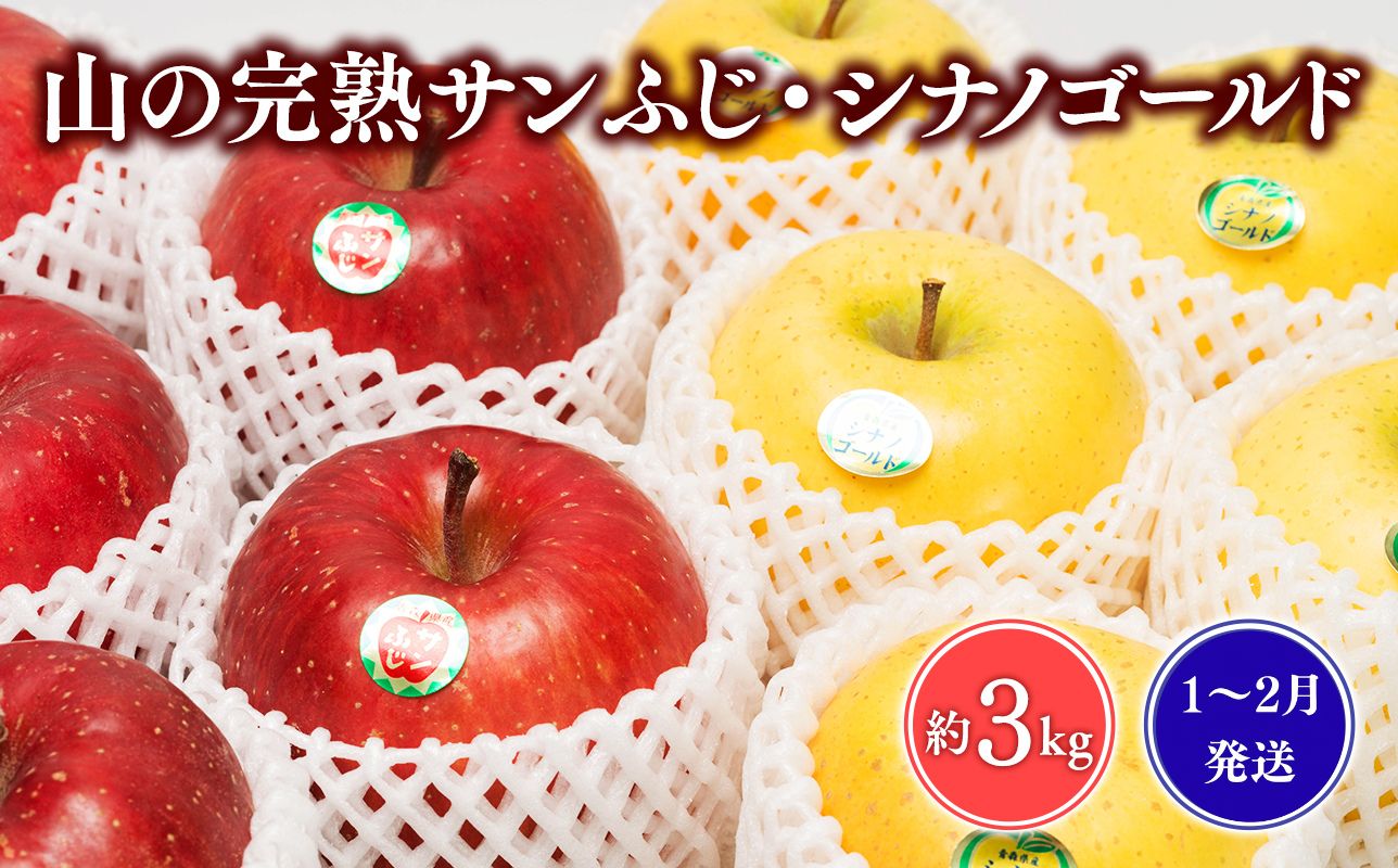 ≪1~2月発送≫山の完熟サンふじ・シナノゴールド約3kg 【青森県 平川市 吹田りんご園】シナノ ゴールド サンふじ ふじ りんご リンゴ 果物 くだもの フルーツ 平川市産 完熟りんご