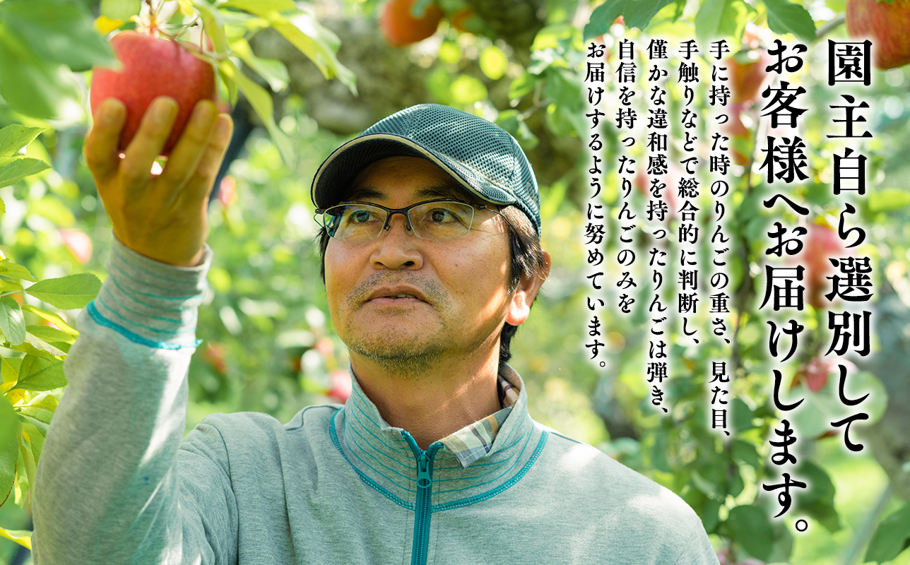 青森県産 訳あり 葉とらず サンふじ 約3kg【青森県 平川市 岩渕農園】 青森 青森県産 平川 りんご リンゴ 林檎 くだもの 果物 フルーツ 