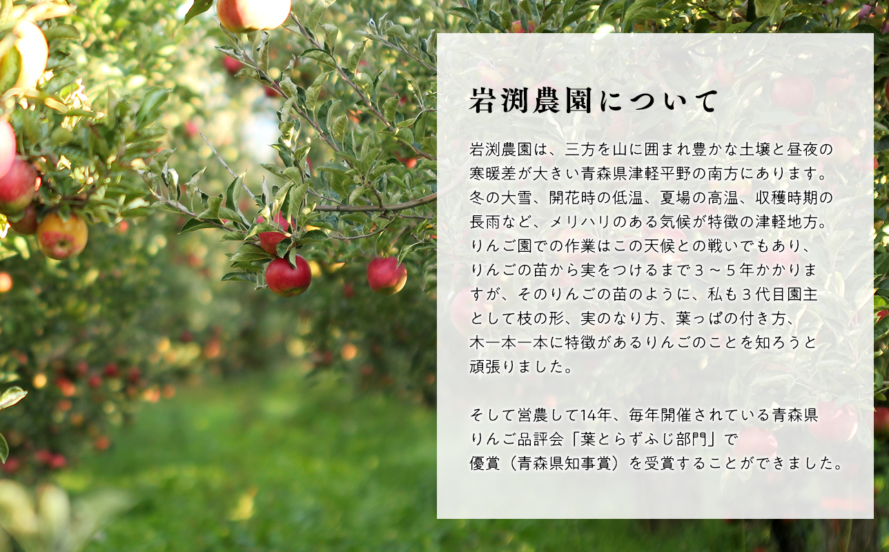 鿣®çç£ èš³ãã èãšãã ãµã³ãµã çŽ3kgã鿣®ç å¹³å·åž 岩æžèŸ²åã 鿣® 鿣®çç£ å¹³å· ããã ãªã³ãŽ ææª ãã ãã® æç© ãã«ãŒã