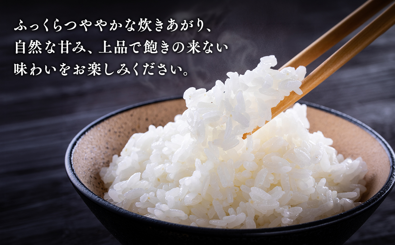 令和7年産　平川市産まっしぐら真空パック 10kg【しあわせj-Farm】【hi-0028-011】米 お米 白米 青森県産 産地直送 おにぎり 朝ご飯 ご飯 コメ こめ  ブランド米