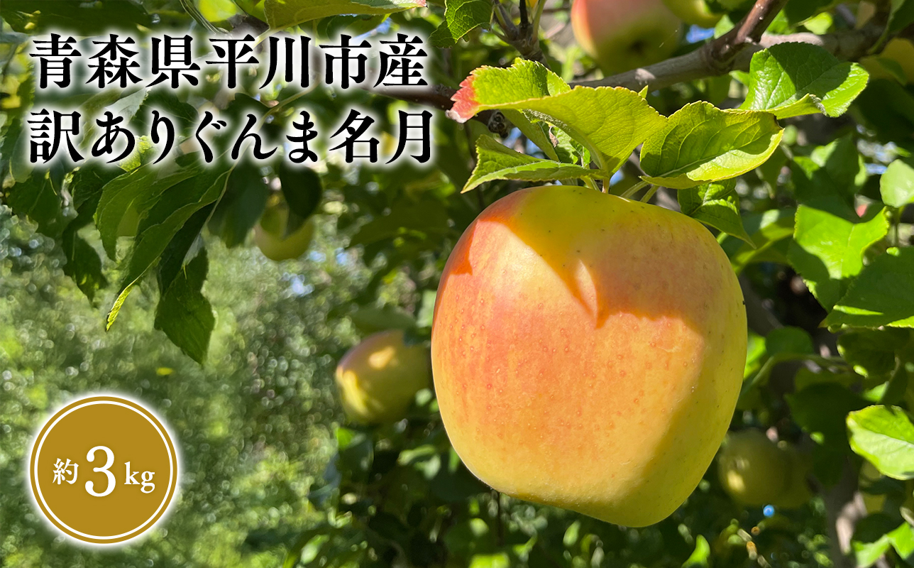 ≪2026年10月下旬頃より発送≫青森県産 訳あり ぐんま名月 約3kg【青森県 平川市 なるみ農園】家庭用 訳アリ 青森 青森県産 平川 りんご リンゴ 林檎 くだもの 果物 フルーツ