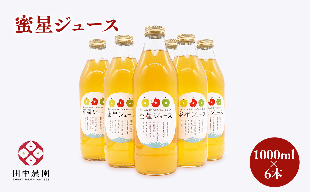  100年の歴史 蜜星ジュース 1L×6本 林檎 林檎ジュース フルーツ 果物 アップル 青森県 平川市 平川市産 お取り寄せ 果汁 100% リンゴジュース ジュース 贈答 オリジナル ミックス 飲料 田中農園 