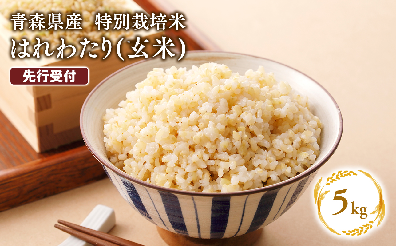 ≪令和8年産 先行予約≫1月上旬よりお届け! 　特別栽培米 はれわたり玄米5kg【青森県 平川市】先行予約 米 お米 玄米 青森県産 産地直送 おにぎり 朝ご飯 冷めてもおいしい ご飯  コメ こめ 白米 ごはん ブランド米 特A 特A米 お取り寄せ グルメ