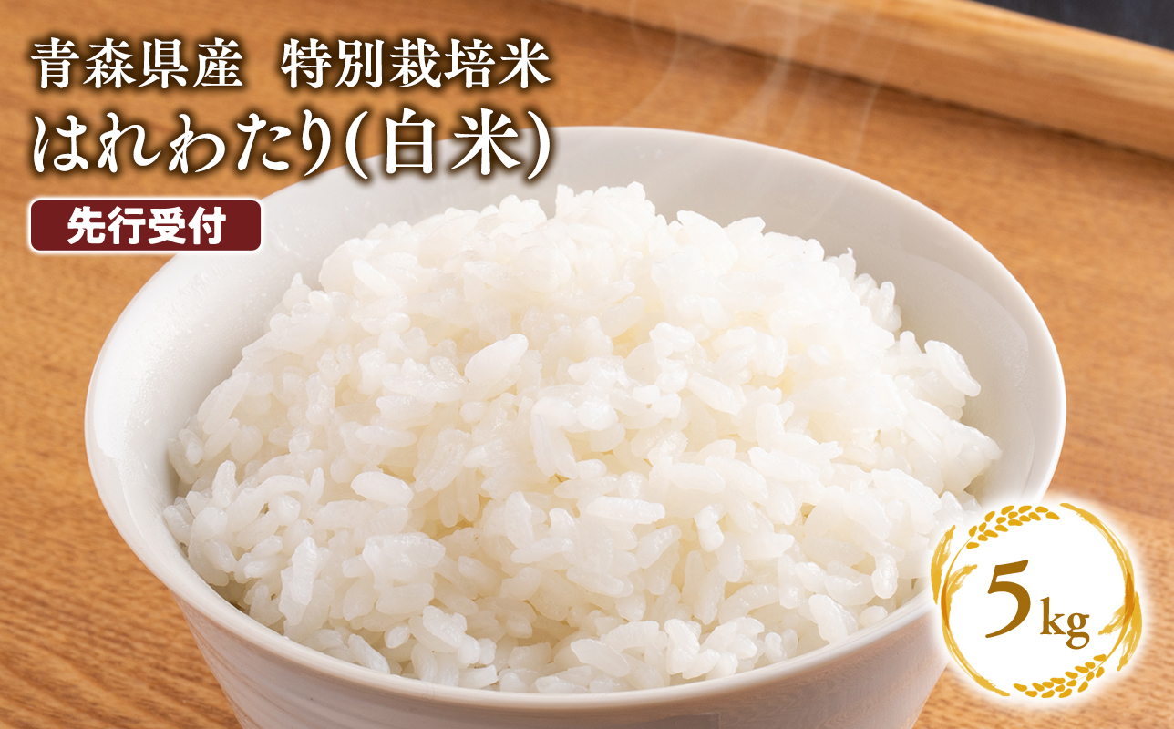 ≪令和8年産 先行予約≫11月中旬よりお届け! 　特別栽培米 はれわたり白米5kg【青森県 平川市】先行予約 米 お米 精米 青森県産 産地直送 おにぎり 朝ご飯 冷めてもおいしい ご飯  コメ こめ 白米 ごはん ブランド米 特A 特A米 お取り寄せ グルメ
