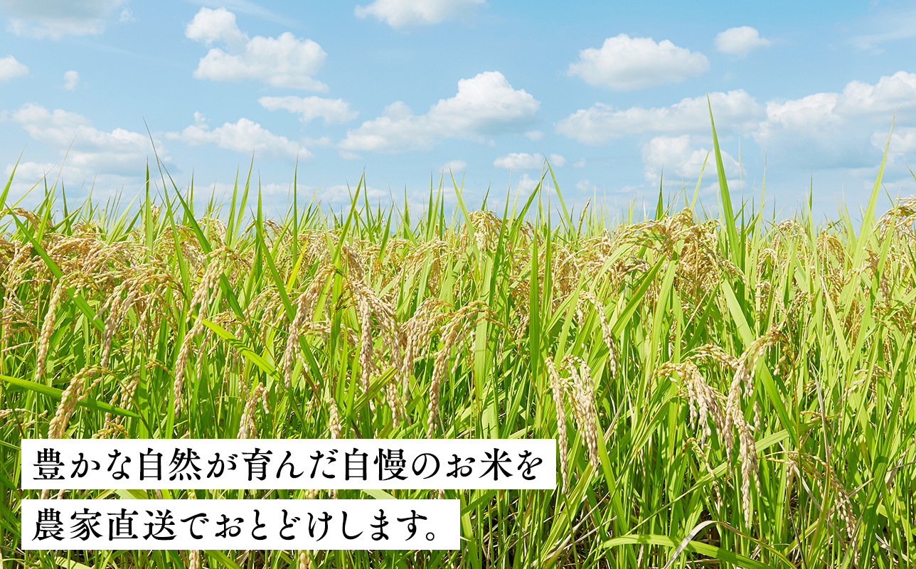 ã4æçºéããŸã£ããã10kg(çç±³)ãæ ªåŒäŒç€Ÿ tawwelã