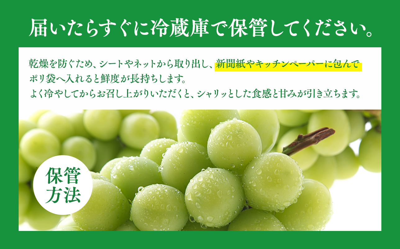 2026年産先行受付　訳あり 北国の冬シャインマスカット2房【原田農園】[hi-0068-001]シャインマスカット 訳あり 家庭用 ぶどう 産地直送 高糖度 平川市