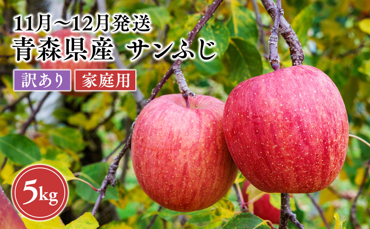 2026年11月～12月発送　【訳あり】家庭用サンふじ 約5kg【原田農園】家庭用 青森 青森県産 平川 りんご リンゴ 林檎 くだもの 果物 フルーツ 葉とらず サンふじ ふじ