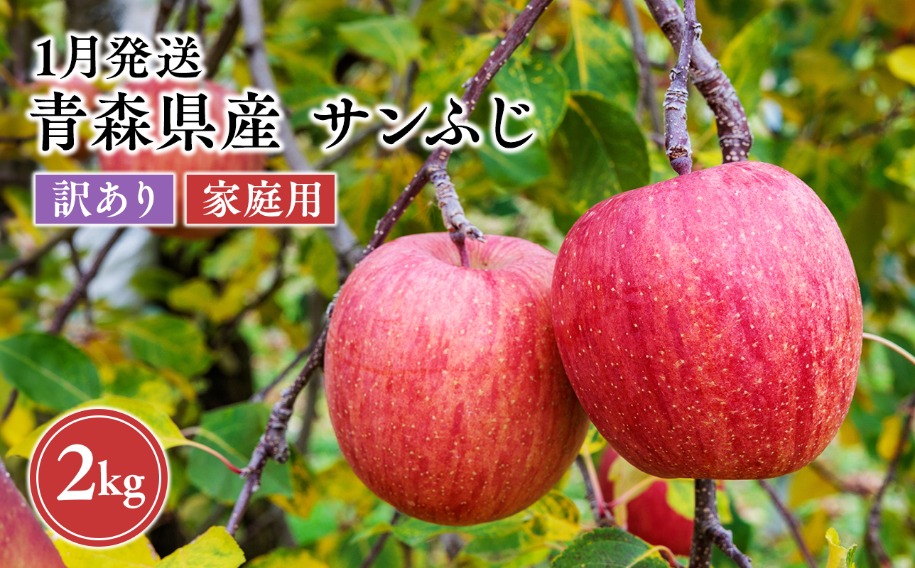 2027年1月発送　【訳あり】家庭用サンふじ 約2kg【原田農園】 家庭用 青森 青森県産 平川 りんご リンゴ 林檎 くだもの 果物 フルーツ 葉とらず サンふじ ふじ