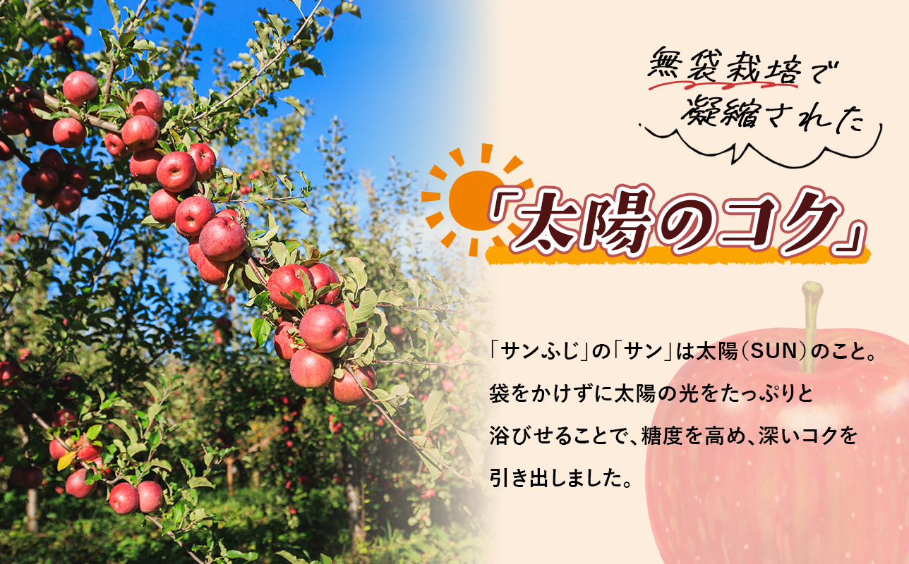 2027年1月発送　【訳あり】家庭用サンふじ 約2kg【原田農園】 家庭用 青森 青森県産 平川 りんご リンゴ 林檎 くだもの 果物 フルーツ 葉とらず サンふじ ふじ