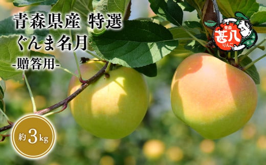 １１月発送　特選　甚八りんごぐんま名月３kg　【青森県 平川市 マルジンサンアップル】
