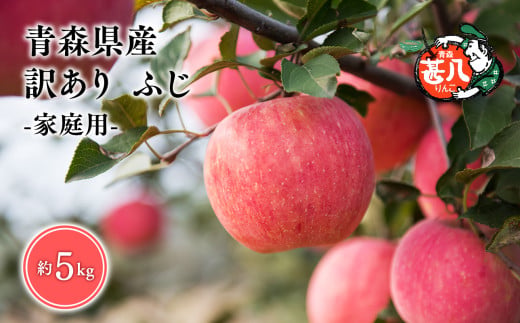 ５～７月発送 訳あり 甚八りんご ふじ5kg　【マルジンサンアップル】青森 青森県産 平川 りんご リンゴ 林檎 くだもの 果物 フルーツ