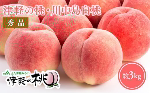 ≪8月下旬～9月中旬発送予定≫ 津軽の桃 川中島白桃 約3kg  秀品 