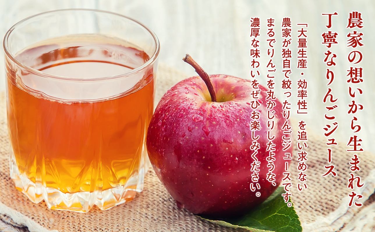  100年の歴史 蜜星ジュース 1L×6本 林檎 林檎ジュース フルーツ 果物 アップル 青森県 平川市 平川市産 お取り寄せ 果汁 100% リンゴジュース ジュース 贈答 オリジナル ミックス 飲料 田中農園 