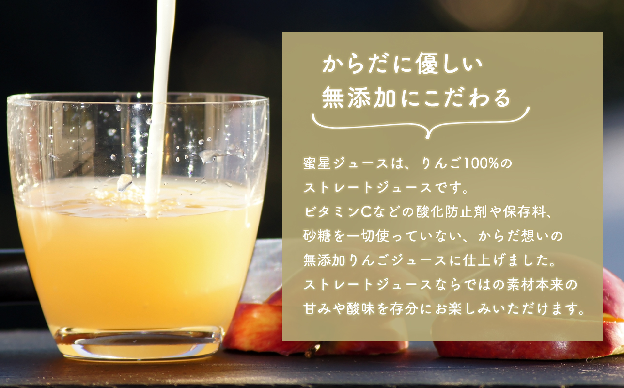  100年の歴史 蜜星ジュース 1L×6本 林檎 林檎ジュース フルーツ 果物 アップル 青森県 平川市 平川市産 お取り寄せ 果汁 100% リンゴジュース ジュース 贈答 オリジナル ミックス 飲料 田中農園 