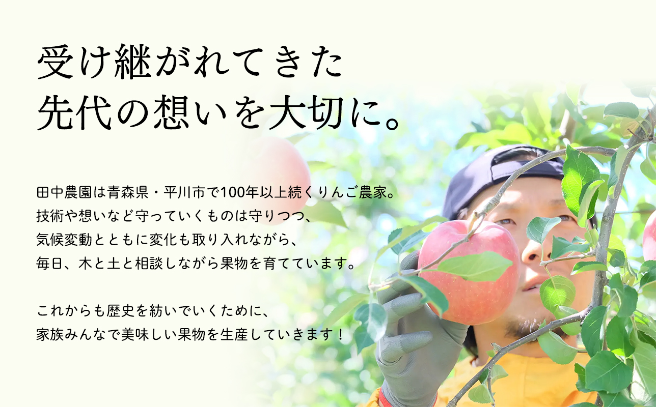  100年の歴史 蜜星ジュース 1L×6本 林檎 林檎ジュース フルーツ 果物 アップル 青森県 平川市 平川市産 お取り寄せ 果汁 100% リンゴジュース ジュース 贈答 オリジナル ミックス 飲料 田中農園 