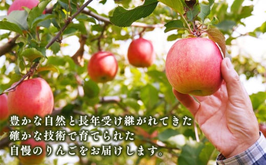 12月 サンふじ約3kg 糖度13度以上 【平川市・森山商店】