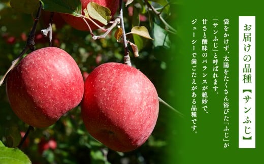12月 サンふじ約3kg 糖度13度以上 【平川市・森山商店】