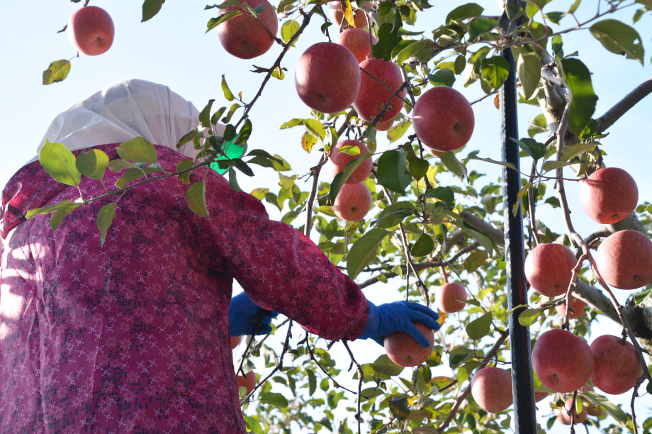 蜻ウ縺ァ蜍晁イシ√イ繧峨°繧剰セイ讌ュ蠢懈抄繧ウ繝シ繧ケ